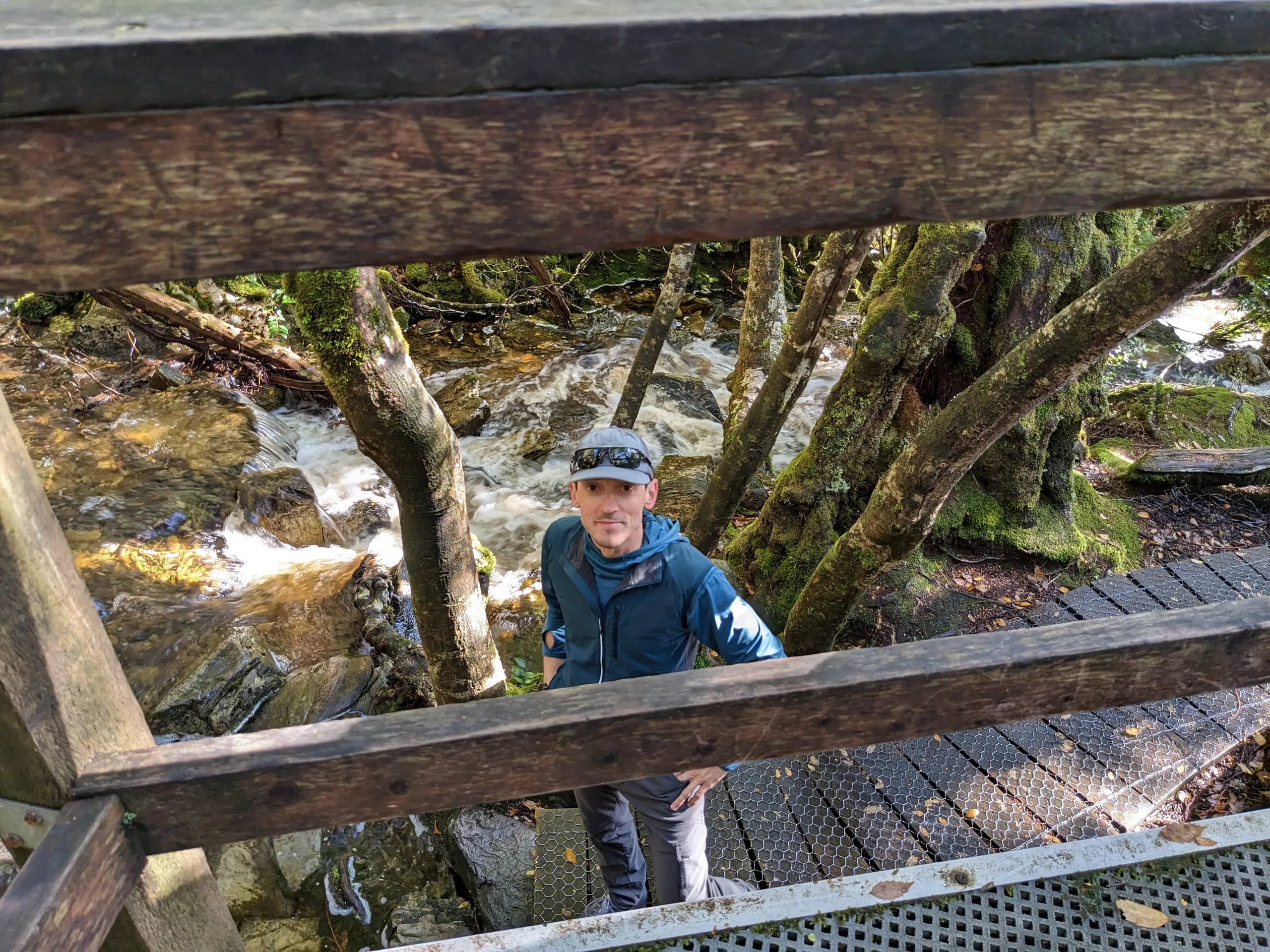 Looking down through the rails of a wooden walkway at a mossy creek rushing between tree trunks, a hiker looking up.