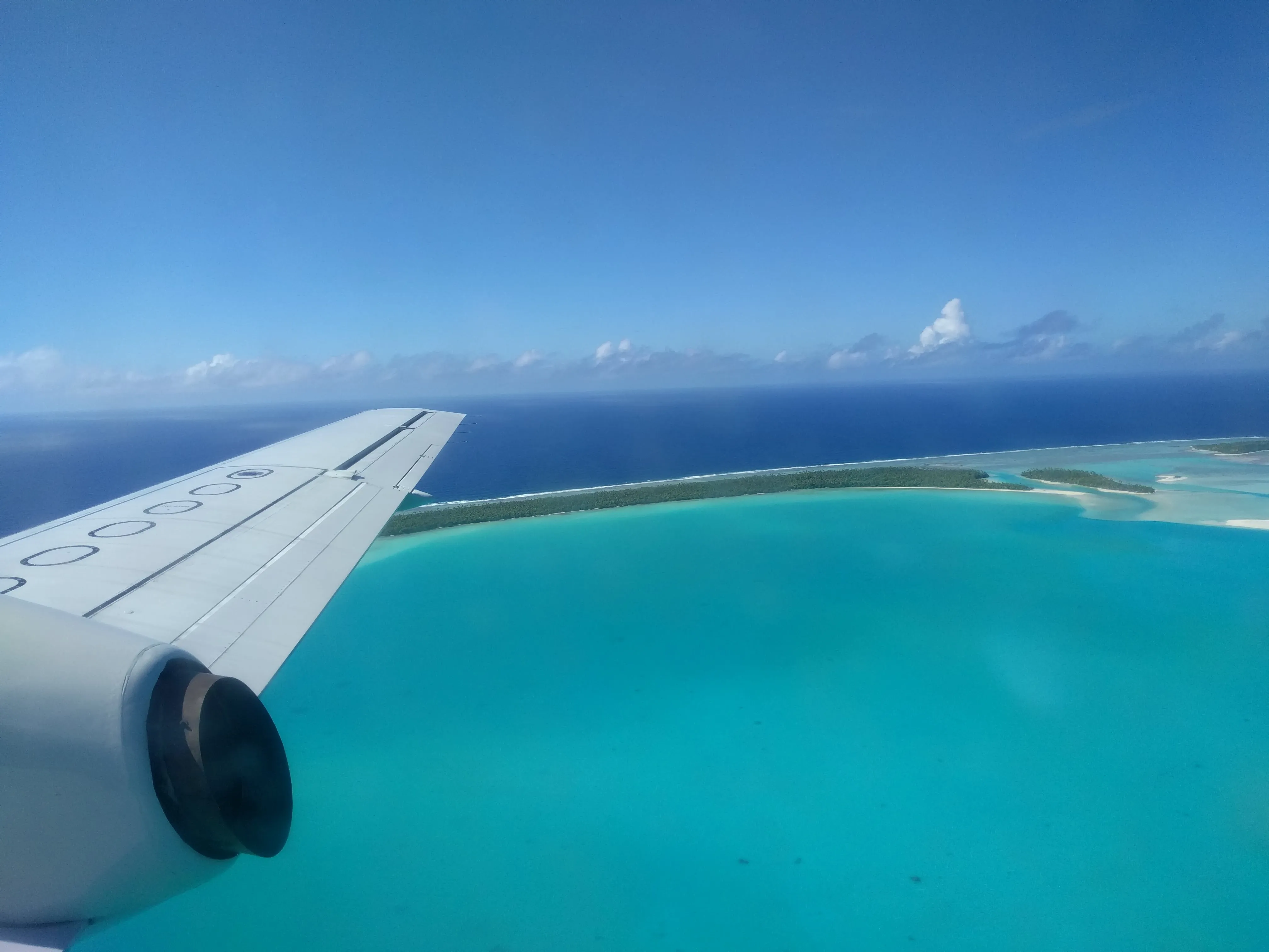 A small island crowded with palm trees in the middle of a clear turquoise lagoon.