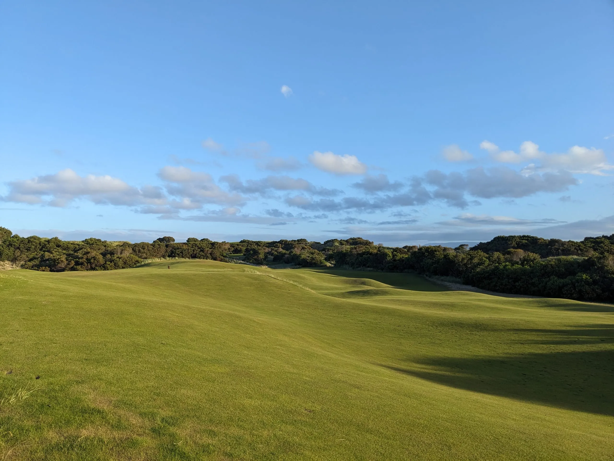 Rolling green fairways of a links course in low evening light, coastal scrub on the skyline.
