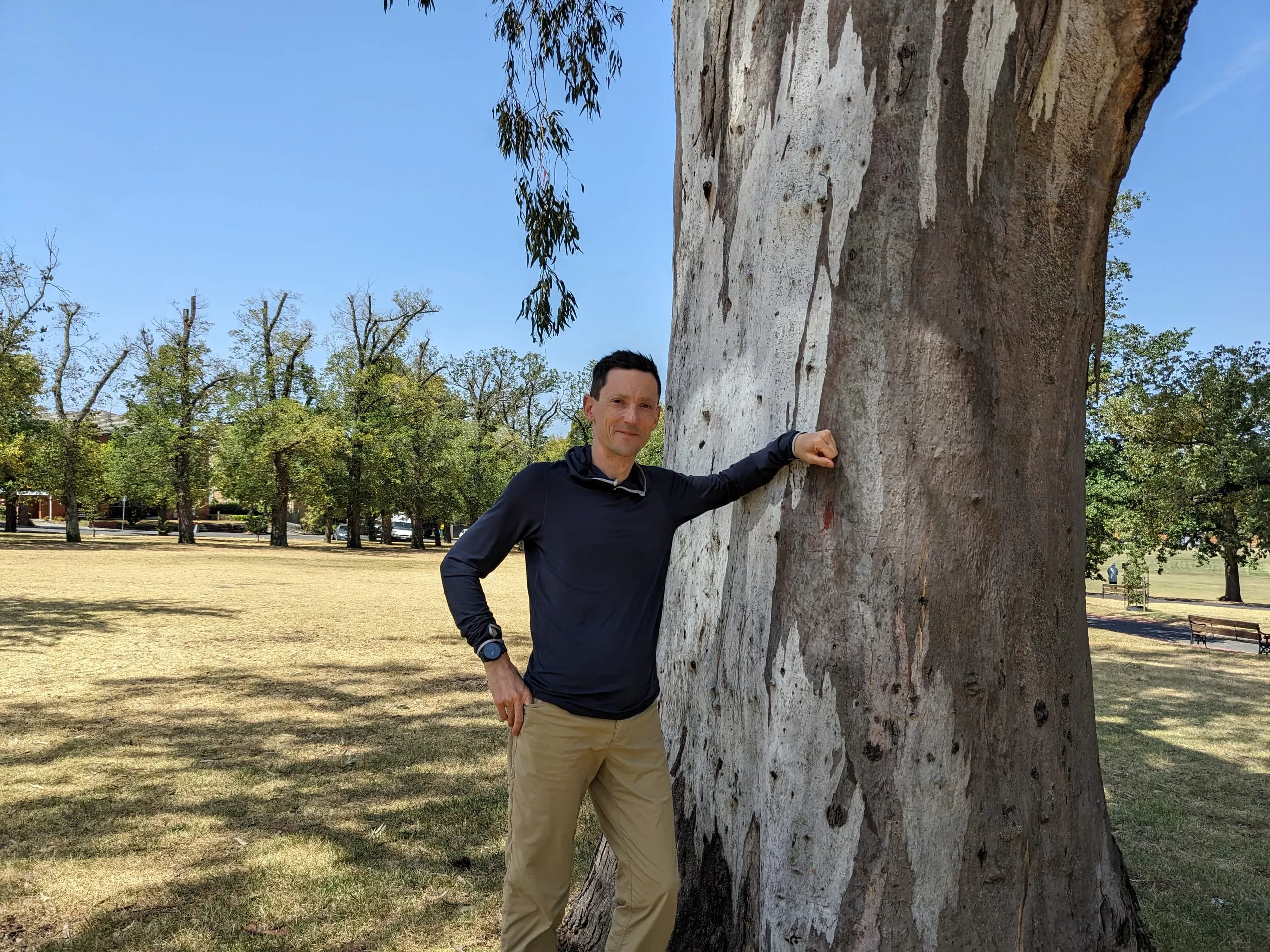 A man leaning against the massive pale trunk of an old eucalypt in a dry summer park.
